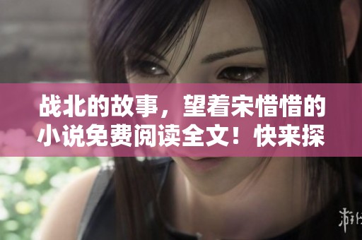战北的故事，望着宋惜惜的小说免费阅读全文！快来探索精彩内容吧！
