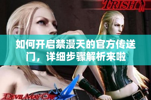 如何开启禁漫天的官方传送门，详细步骤解析来啦