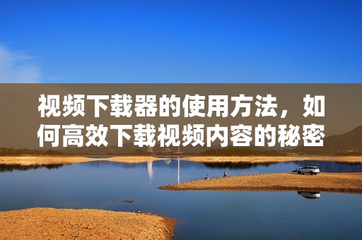 视频下载器的使用方法，如何高效下载视频内容的秘密揭秘