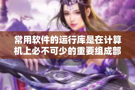 常用软件的运行库是在计算机上必不可少的重要组成部分