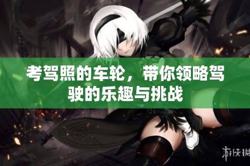 考驾照的车轮，带你领略驾驶的乐趣与挑战