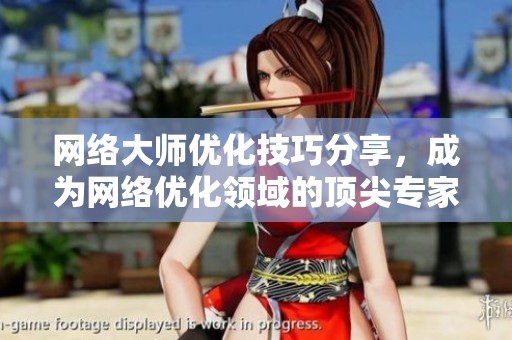 网络大师优化技巧分享，成为网络优化领域的顶尖专家