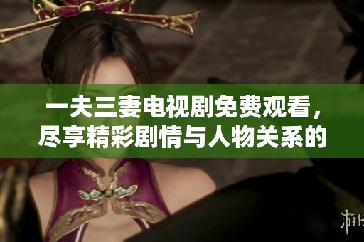 一夫三妻电视剧免费观看，尽享精彩剧情与人物关系的发展