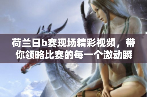 荷兰日b赛现场精彩视频，带你领略比赛的每一个激动瞬间。