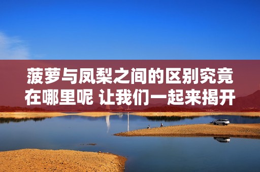 菠萝与凤梨之间的区别究竟在哪里呢 让我们一起来揭开这个谜底吧