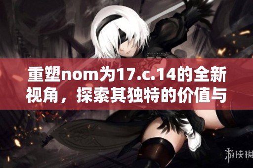 重塑nom为17.c.14的全新视角，探索其独特的价值与意义