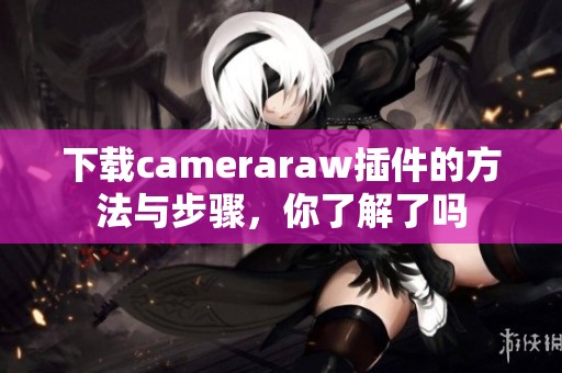 下载cameraraw插件的方法与步骤，你了解了吗