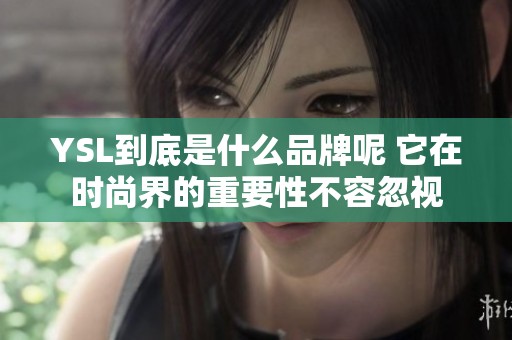 YSL到底是什么品牌呢 它在时尚界的重要性不容忽视