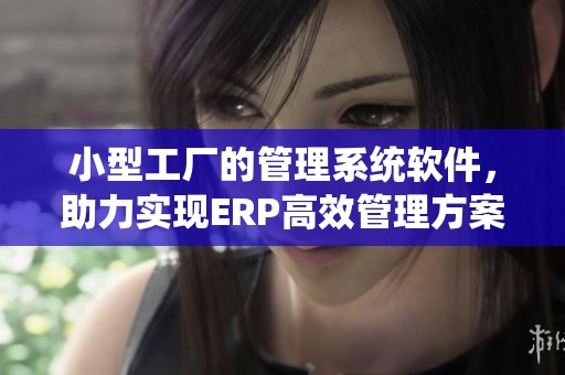 小型工厂的管理系统软件，助力实现ERP高效管理方案