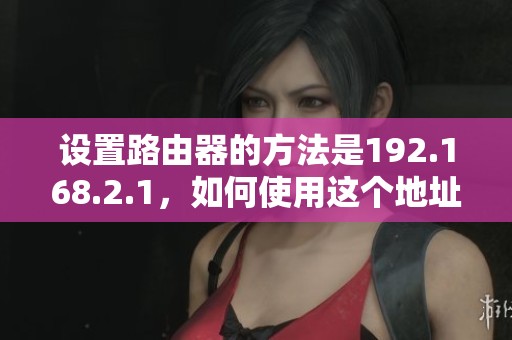 设置路由器的方法是192.168.2.1，如何使用这个地址进行配置