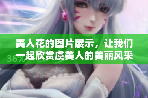 美人花的图片展示，让我们一起欣赏虞美人的美丽风采