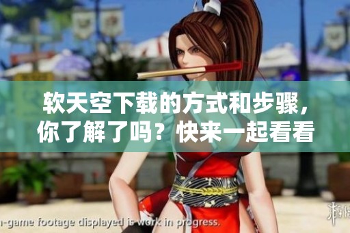 软天空下载的方式和步骤，你了解了吗？快来一起看看吧！