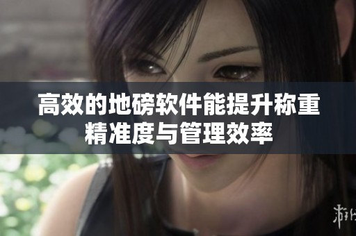 高效的地磅软件能提升称重精准度与管理效率