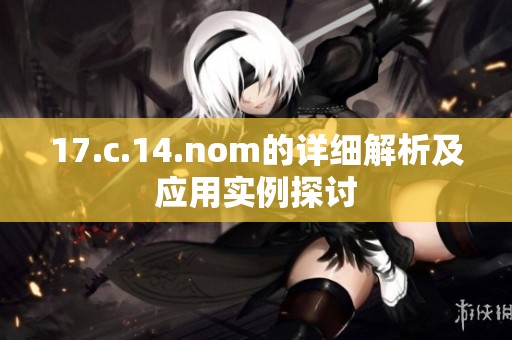 17.c.14.nom的详细解析及应用实例探讨