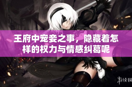 王府中宠妾之事，隐藏着怎样的权力与情感纠葛呢