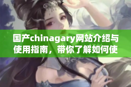 国产chinagary网站介绍与使用指南，带你了解如何使用这个平台