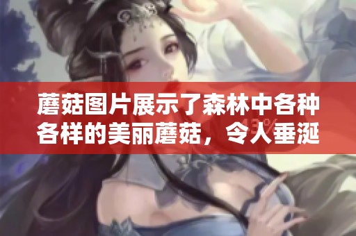 蘑菇图片展示了森林中各种各样的美丽蘑菇，令人垂涎欲滴的视觉享受。