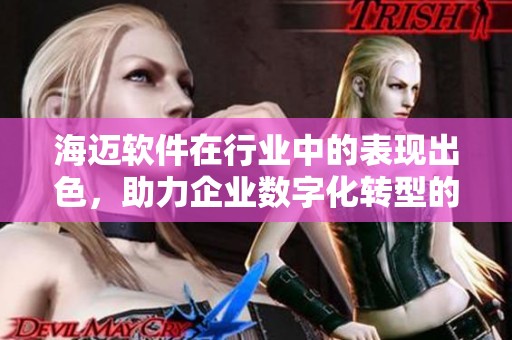 海迈软件在行业中的表现出色，助力企业数字化转型的成功之道