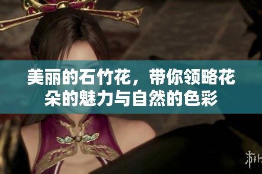 美丽的石竹花，带你领略花朵的魅力与自然的色彩