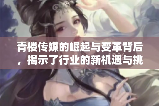 青楼传媒的崛起与变革背后，揭示了行业的新机遇与挑战