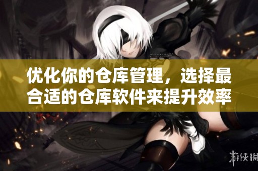 优化你的仓库管理，选择最合适的仓库软件来提升效率