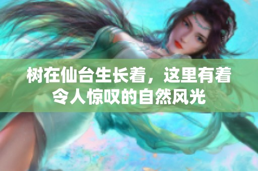 树在仙台生长着，这里有着令人惊叹的自然风光