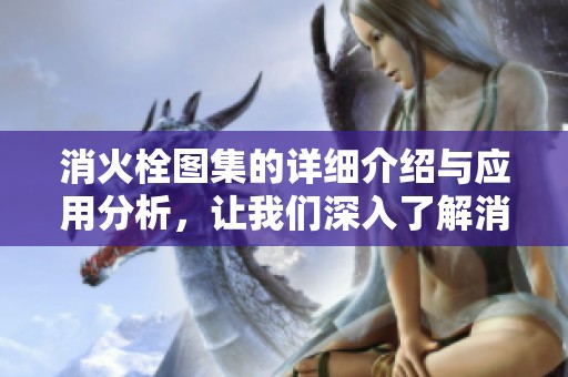 消火栓图集的详细介绍与应用分析，让我们深入了解消火栓的重要性