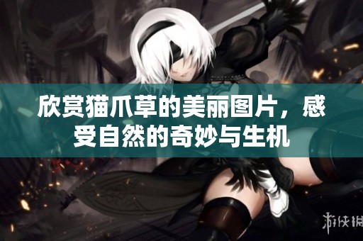 欣赏猫爪草的美丽图片，感受自然的奇妙与生机