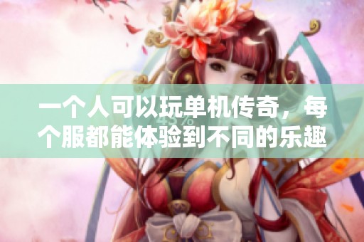 一个人可以玩单机传奇，每个服都能体验到不同的乐趣