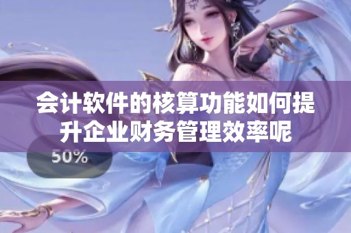 会计软件的核算功能如何提升企业财务管理效率呢