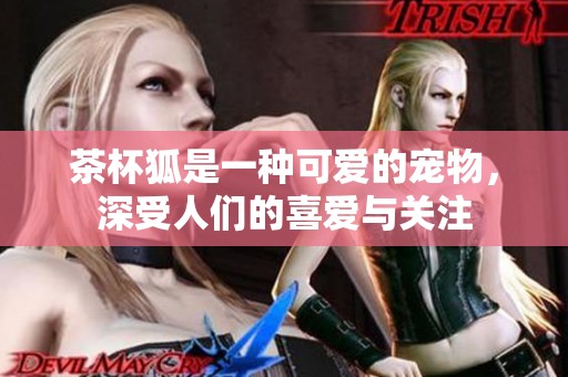茶杯狐是一种可爱的宠物，深受人们的喜爱与关注