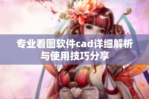 专业看图软件cad详细解析与使用技巧分享