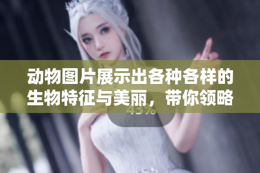 动物图片展示出各种各样的生物特征与美丽，带你领略大自然的奇妙魅力。