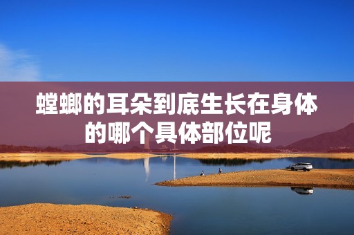 螳螂的耳朵到底生长在身体的哪个具体部位呢