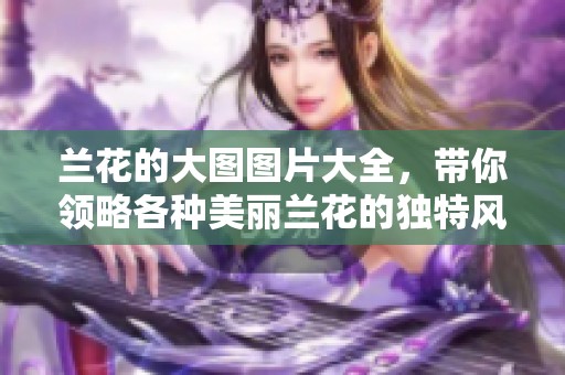 兰花的大图图片大全，带你领略各种美丽兰花的独特风采