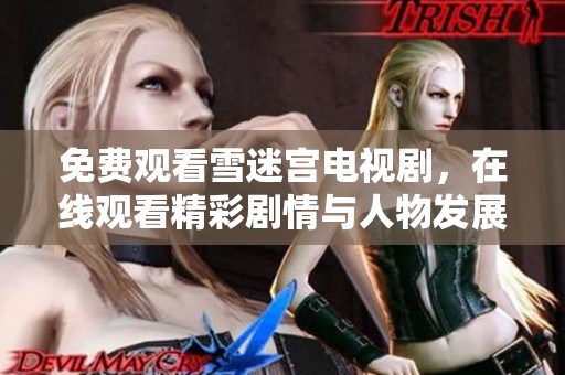 免费观看雪迷宫电视剧，在线观看精彩剧情与人物发展