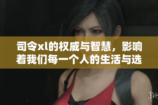 司令xl的权威与智慧，影响着我们每一个人的生活与选择