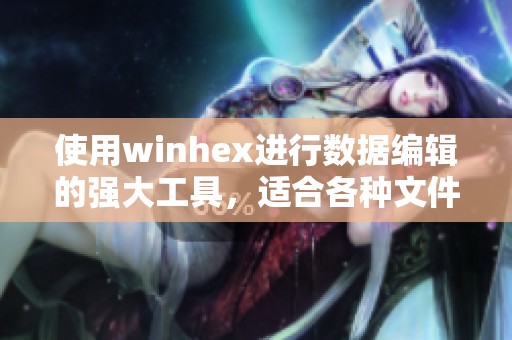 使用winhex进行数据编辑的强大工具，适合各种文件类型处理与恢复