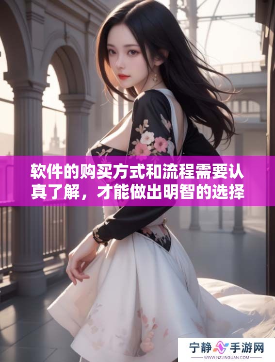 软件的购买方式和流程需要认真了解，才能做出明智的选择和决策