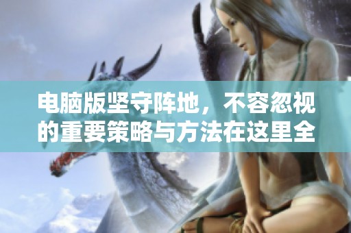 电脑版坚守阵地，不容忽视的重要策略与方法在这里全面解析
