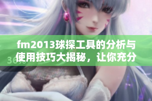 fm2013球探工具的分析与使用技巧大揭秘，让你充分利用这款工具提升游戏体验