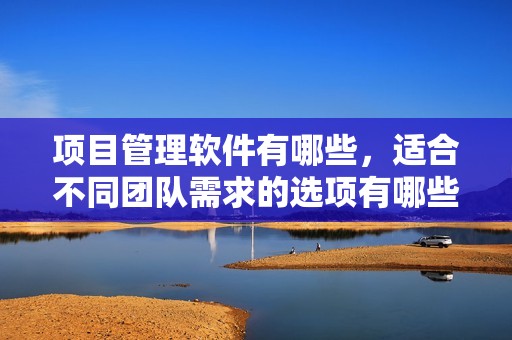 项目管理软件有哪些，适合不同团队需求的选项有哪些呢？