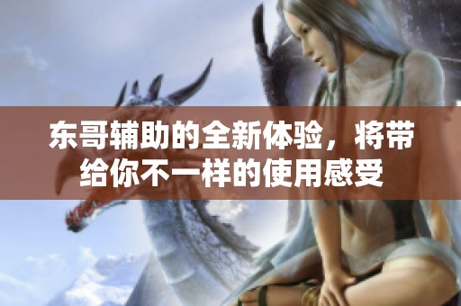 东哥辅助的全新体验，将带给你不一样的使用感受