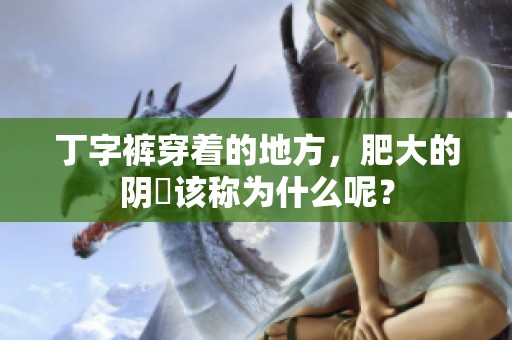 丁字裤穿着的地方，肥大的阴脣该称为什么呢？