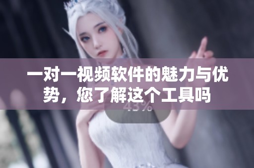 一对一视频软件的魅力与优势，您了解这个工具吗
