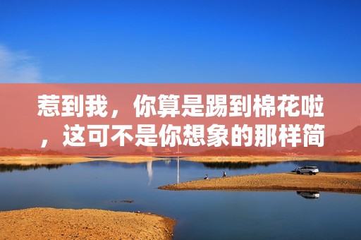 惹到我，你算是踢到棉花啦，这可不是你想象的那样简单哦