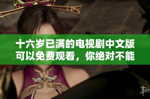 十六岁已满的电视剧中文版可以免费观看，你绝对不能错过这部佳作！