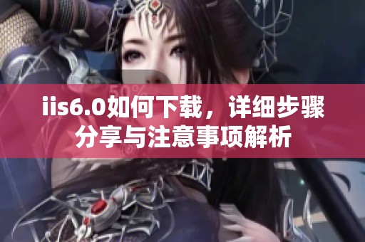 iis6.0如何下载，详细步骤分享与注意事项解析