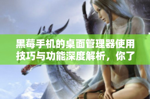 黑莓手机的桌面管理器使用技巧与功能深度解析，你了解了吗