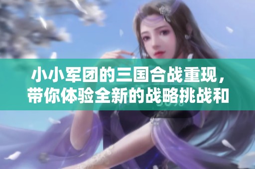 小小军团的三国合战重现，带你体验全新的战略挑战和乐趣